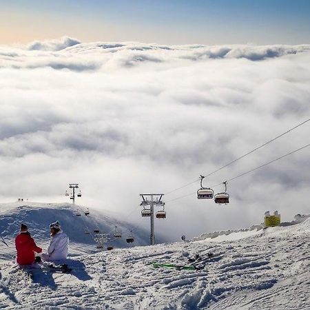 Mountain View Nest Lejlighed Sinaia Eksteriør billede