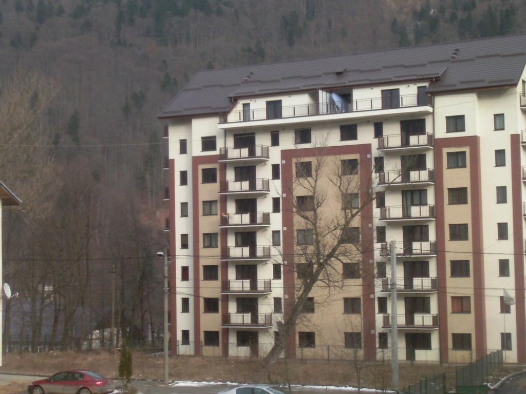 Mountain View Nest Lejlighed Sinaia Eksteriør billede
